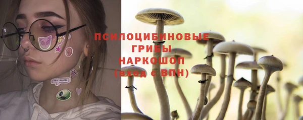 бошки Баксан