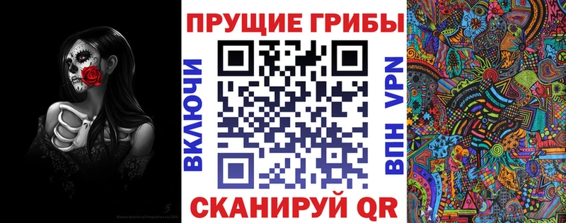 Псилоцибиновые грибы прущие грибы  площадка формула  Демидов 